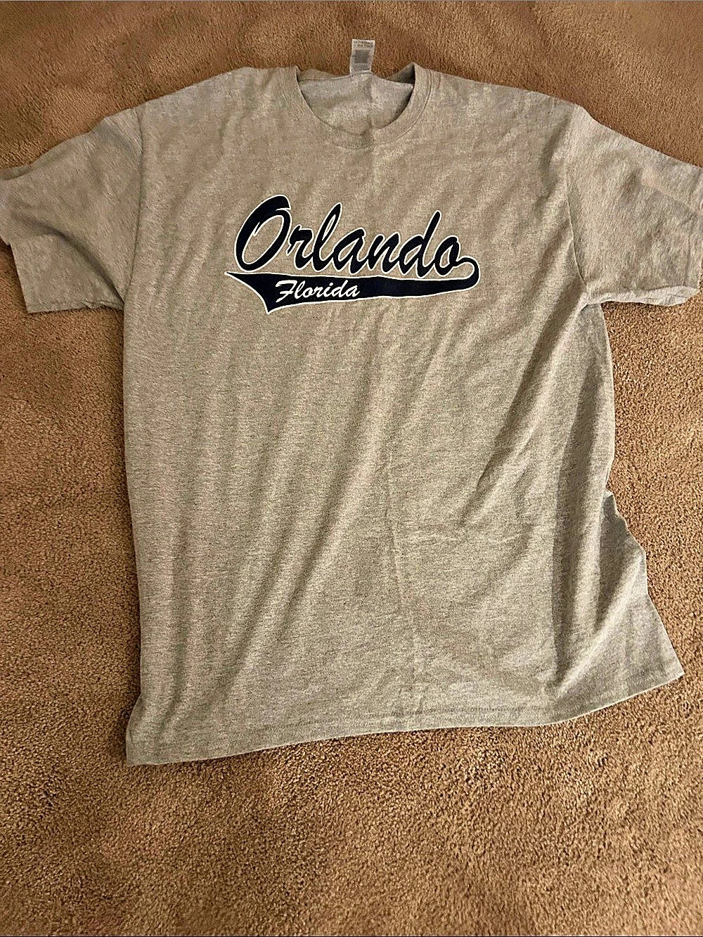 Gildan Orlando Florida Graphic Tee in Gray